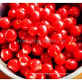 Commercial or Industrial use cherry pitter machine